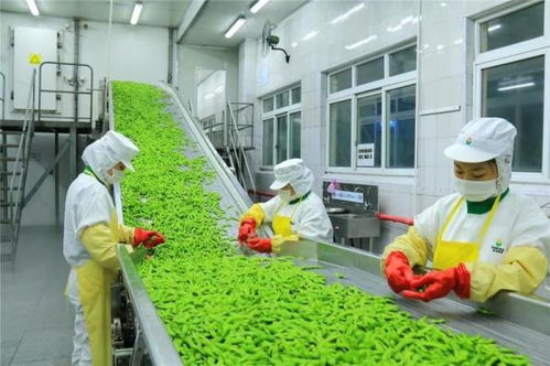 四問(wèn)富民鄉(xiāng)村產(chǎn)業(yè) 精深加工如何拓展農(nóng)產(chǎn)品增值空間